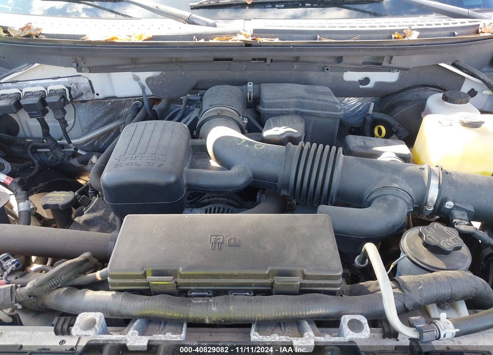 2010 FORD F-150 XL/XLT VIN: 1FTVX1CV1AKE10150