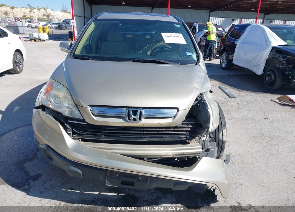 2009 HONDA CR-V EX-L VIN: 5J6RE38769L016575