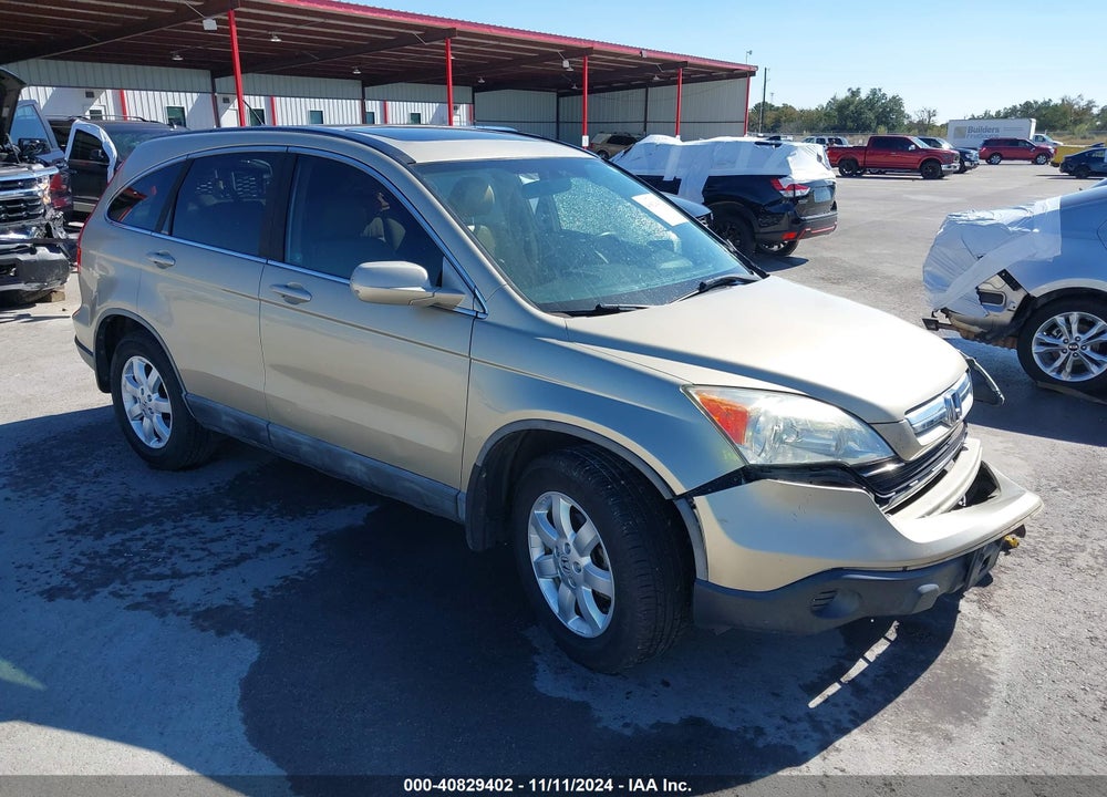 2009 HONDA CR-V EX-L VIN: 5J6RE38769L016575