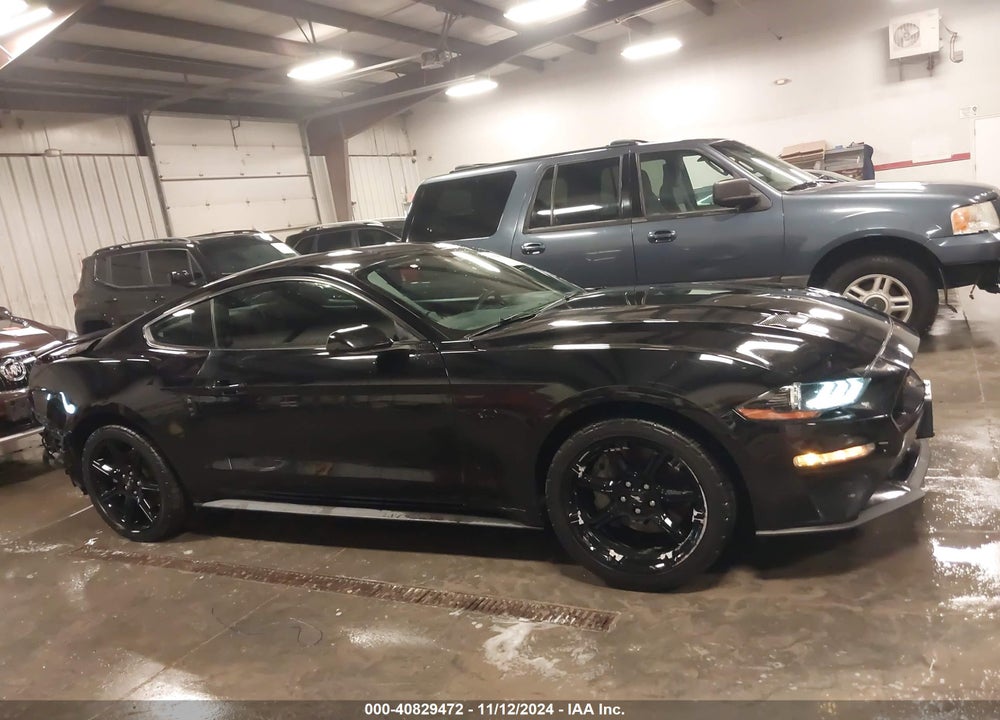 2019 FORD MUSTANG GT VIN: 1FA6P8CF4K5202338