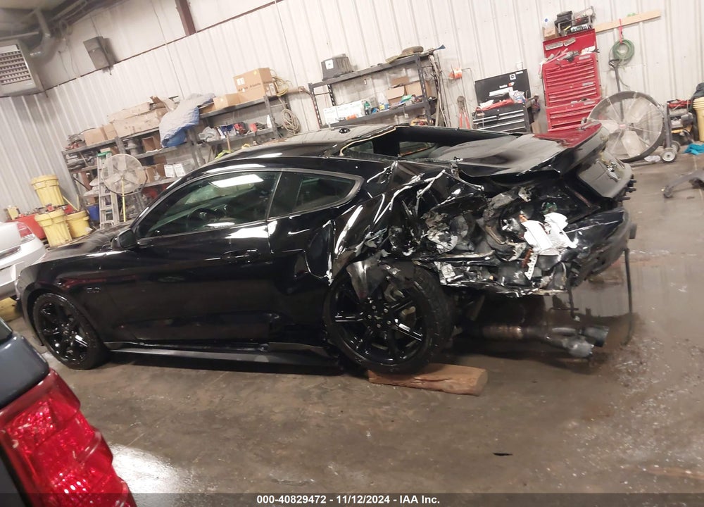 2019 FORD MUSTANG GT VIN: 1FA6P8CF4K5202338