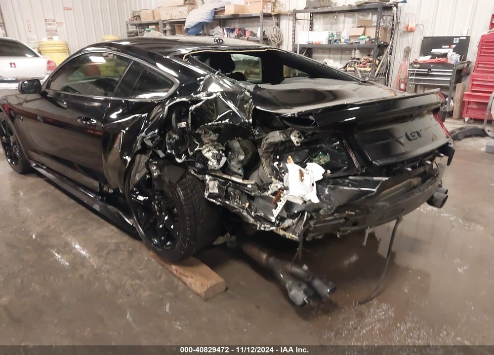 2019 FORD MUSTANG GT VIN: 1FA6P8CF4K5202338