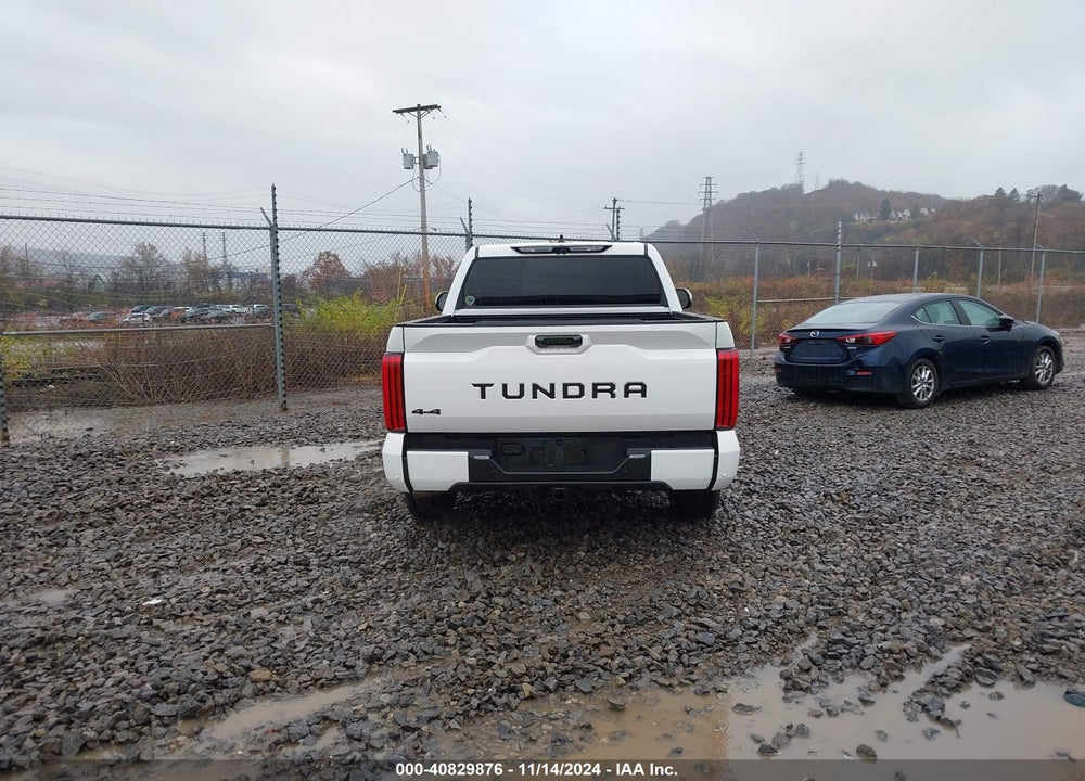 2023 TOYOTA TUNDRA SR5 VIN: 5TFLA5DB9PX107343