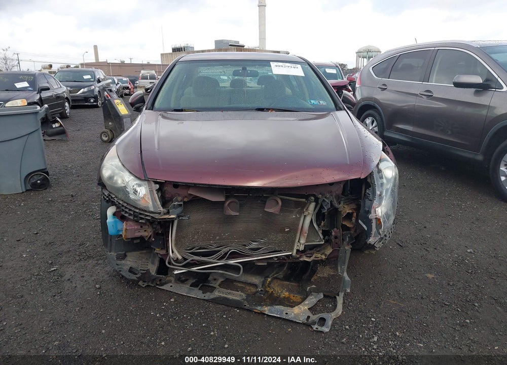 2011 HONDA ACCORD 2.4 LX VIN: 1HGCP2F35BA114256