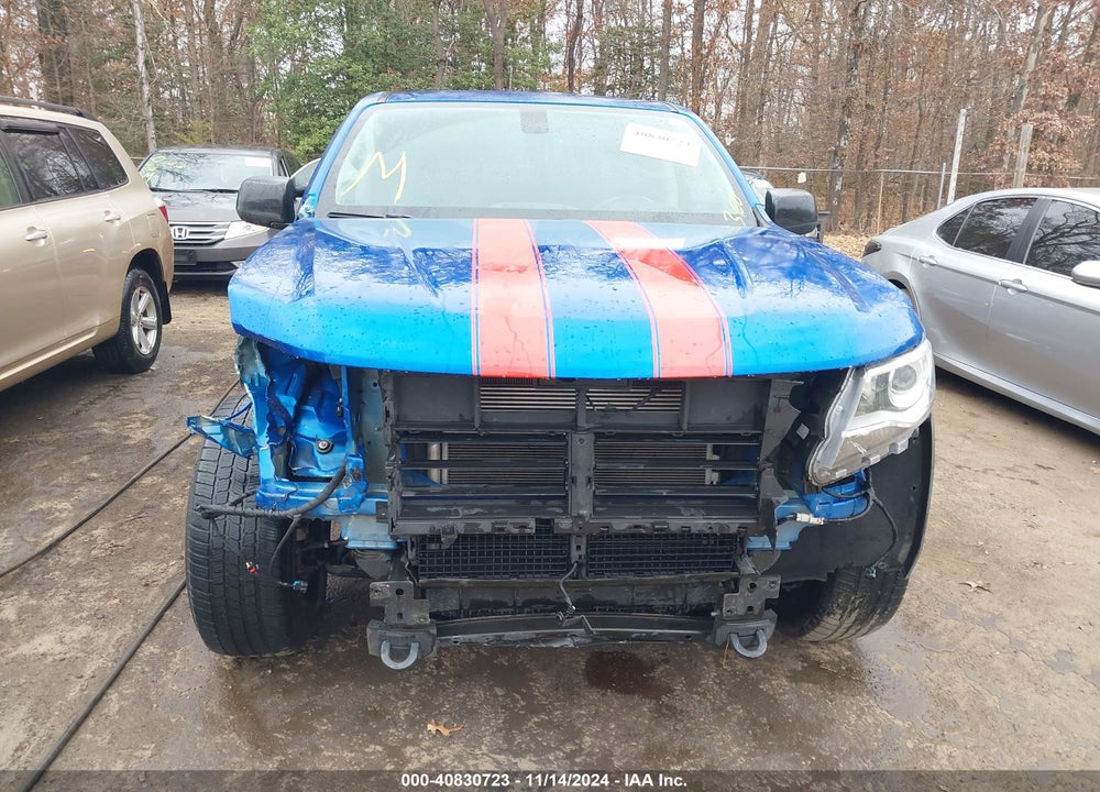 2019 CHEVROLET COLORADO Z71 VIN: 1GCGSDEN1K1215002