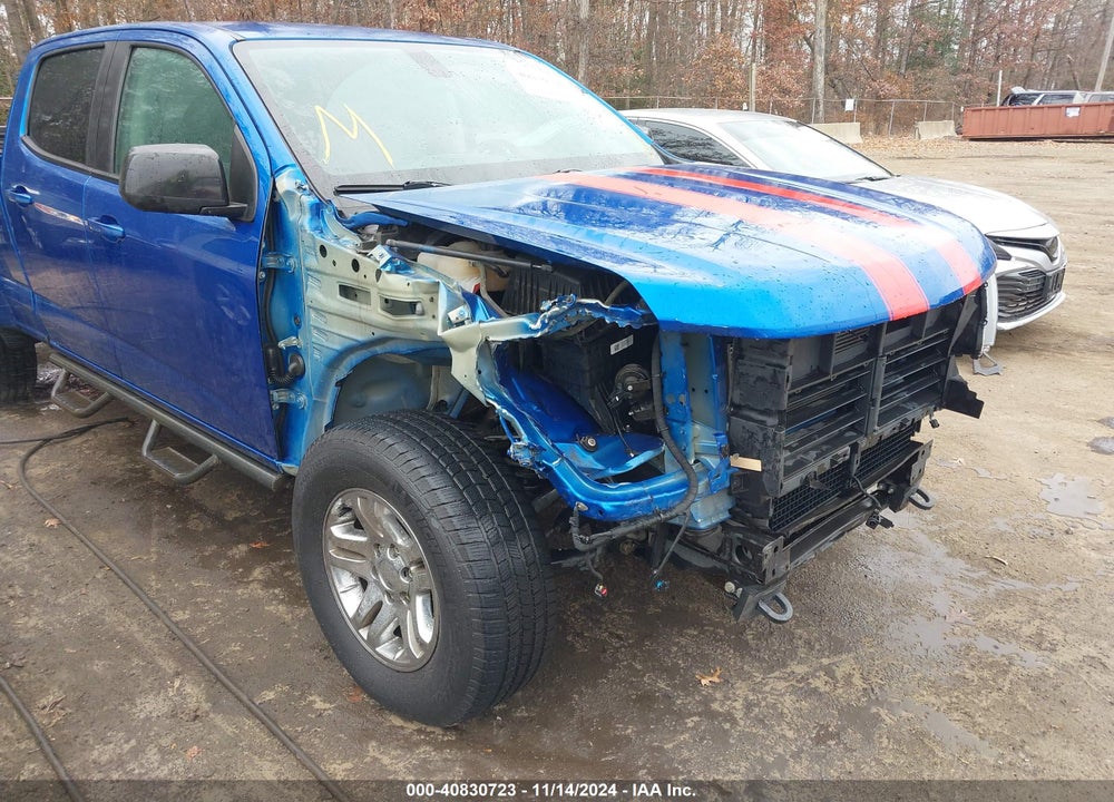 2019 CHEVROLET COLORADO Z71 VIN: 1GCGSDEN1K1215002