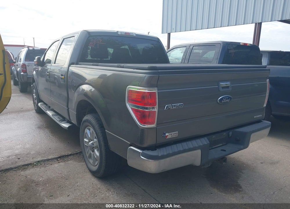 2013 FORD F-150 XLT VIN: 1FTEW1CM6DKD94140