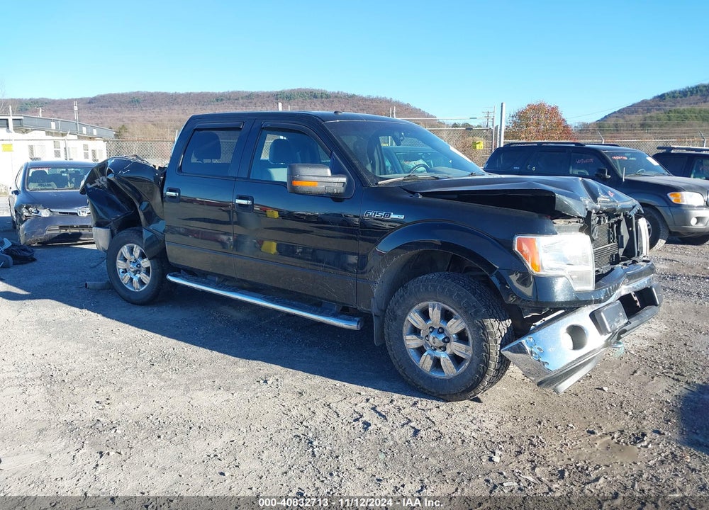 2011 FORD F-150 XLT VIN: 1FTFW1EF7BFC87820