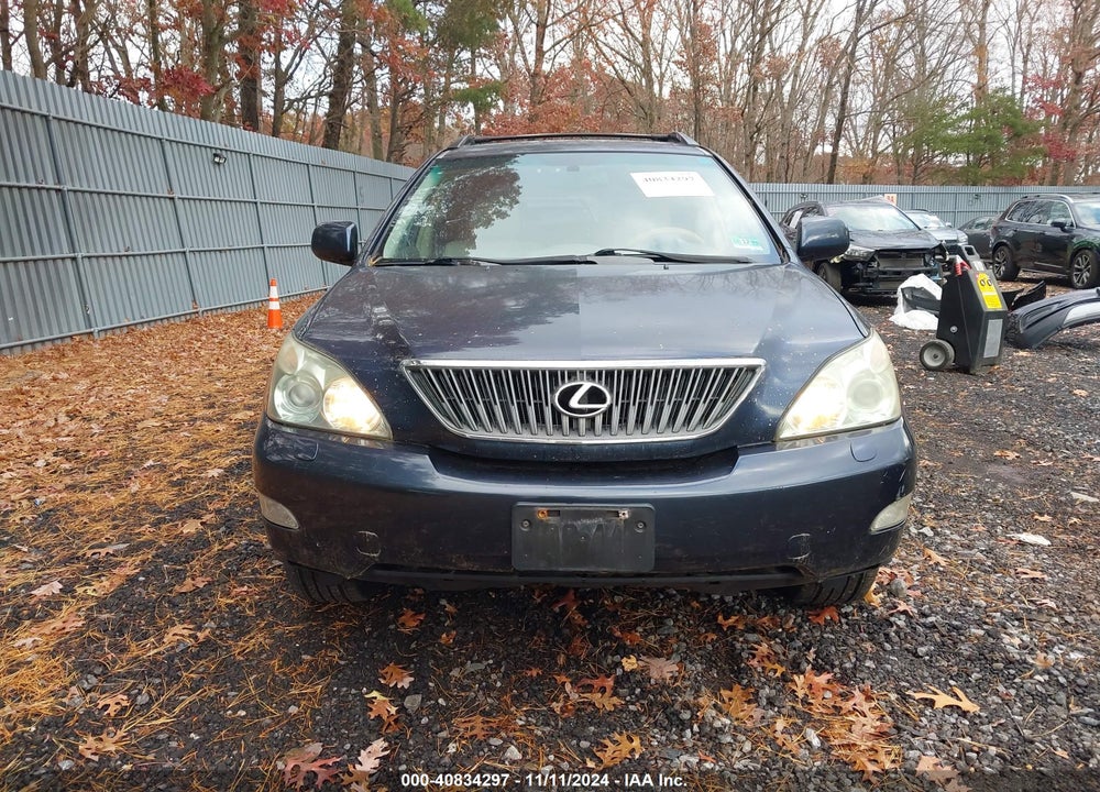 2006 LEXUS RX 330 VIN: JTJHA31U160099601