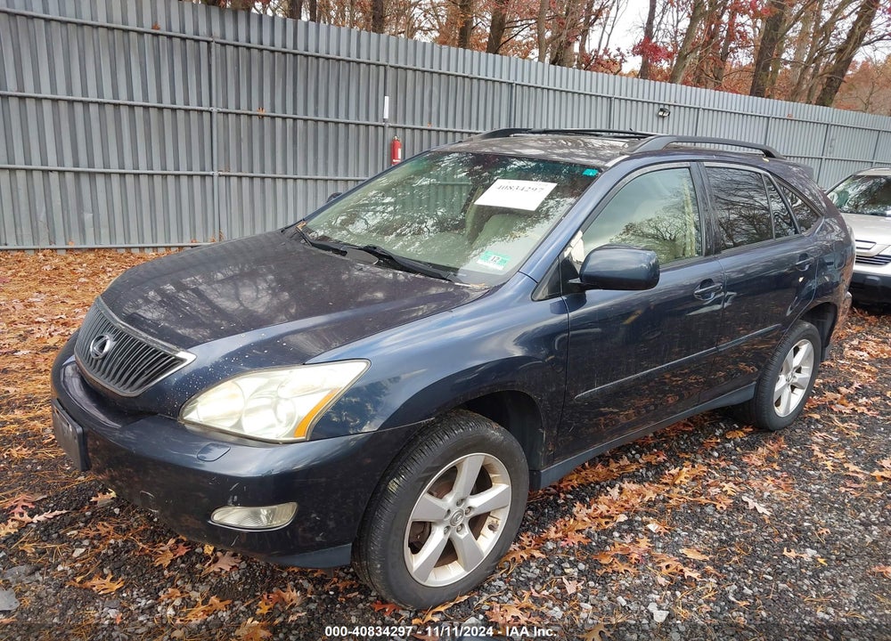 2006 LEXUS RX 330 VIN: JTJHA31U160099601