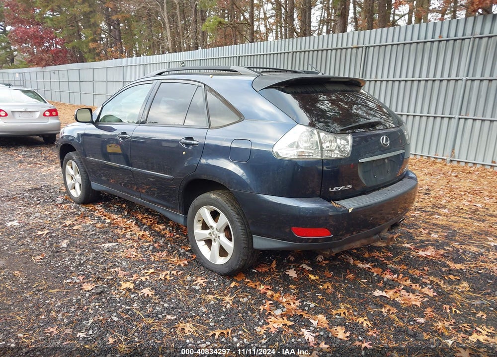 2006 LEXUS RX 330 VIN: JTJHA31U160099601