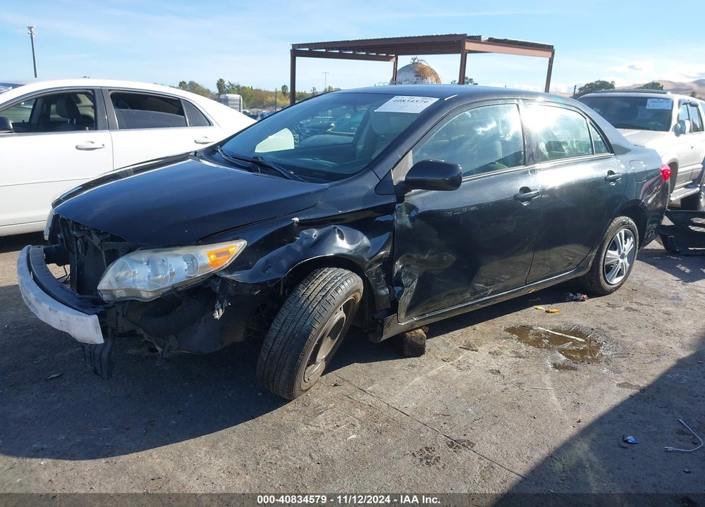 2011 TOYOTA COROLLA LE VIN: JTDBU4EE8BJ099317
