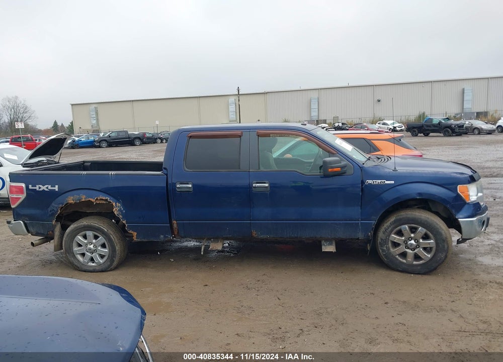 2009 FORD F-150 FX4/KING RANCH/LARIAT/PLATINUM/XL/XLT VIN: 1FTPW14VX9FB32749