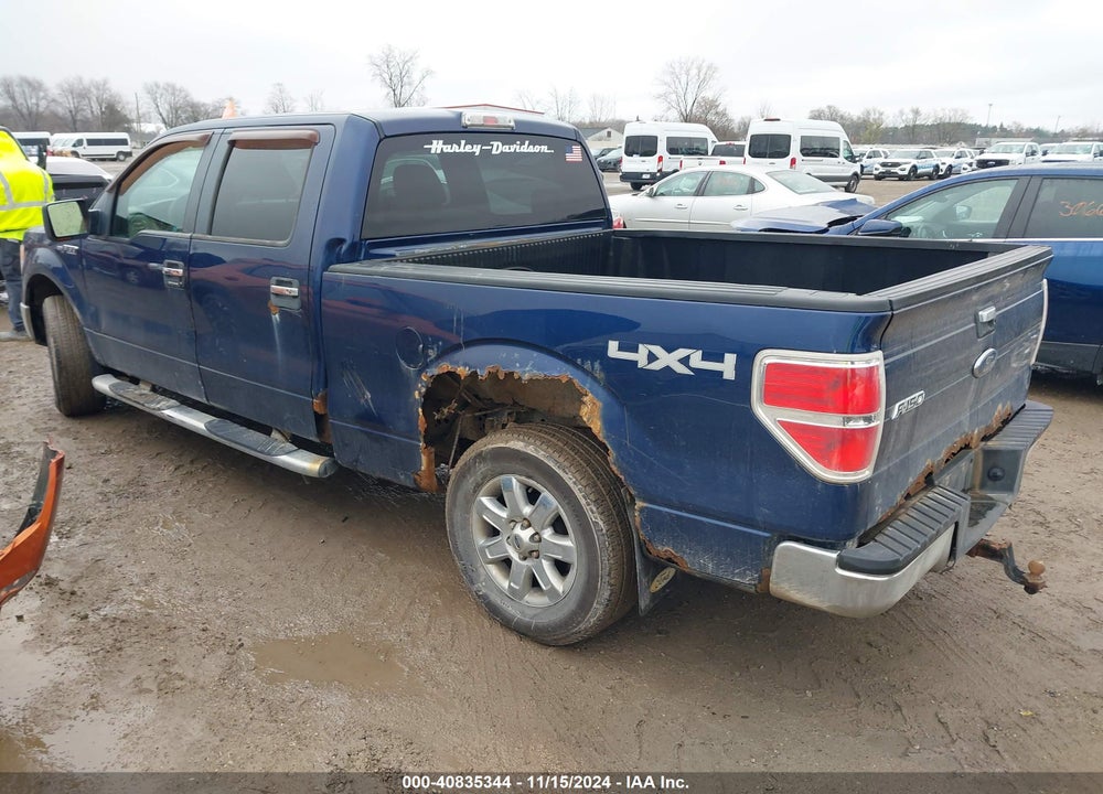 2009 FORD F-150 FX4/KING RANCH/LARIAT/PLATINUM/XL/XLT VIN: 1FTPW14VX9FB32749