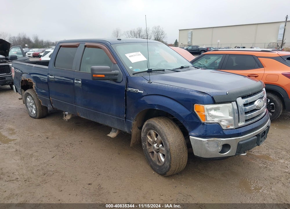 2009 FORD F-150 FX4/KING RANCH/LARIAT/PLATINUM/XL/XLT VIN: 1FTPW14VX9FB32749