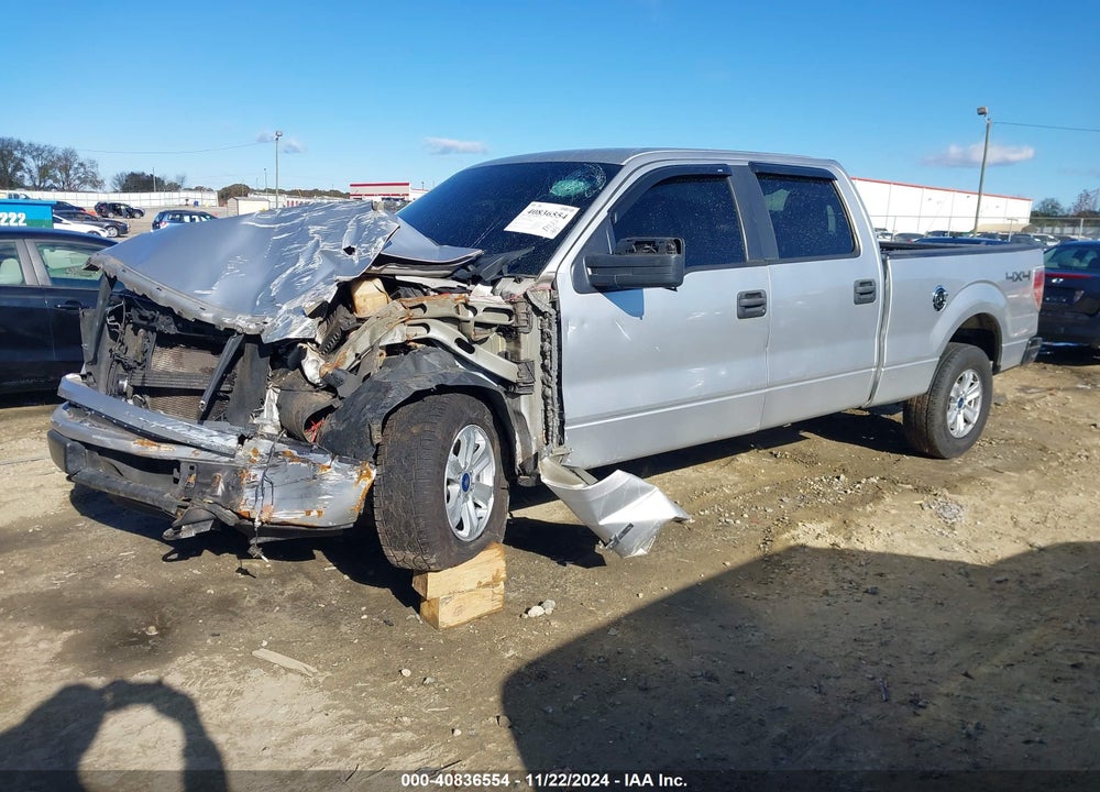 2010 FORD F-150 XL/XLT VIN: 1FTFW1E84AFB81261