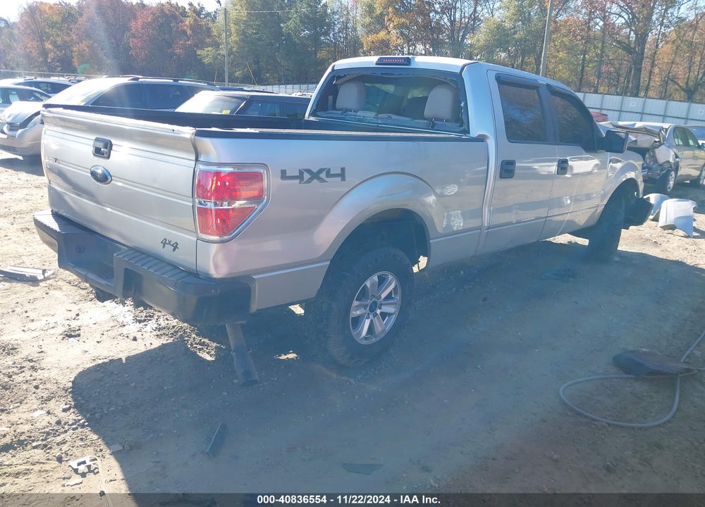 2010 FORD F-150 XL/XLT VIN: 1FTFW1E84AFB81261