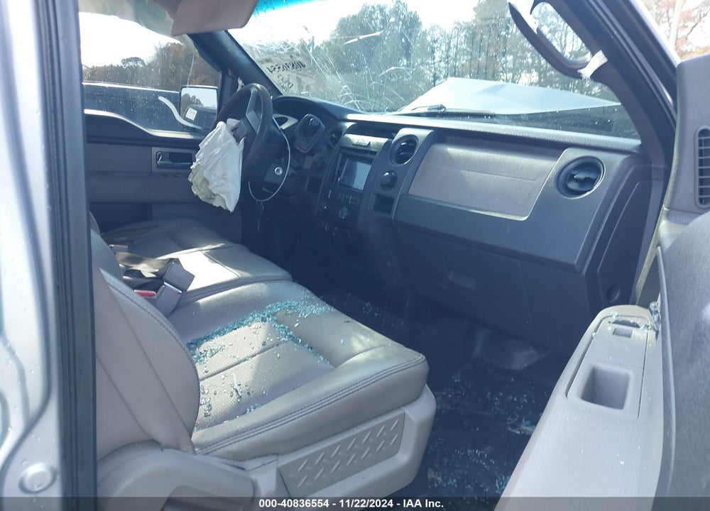 2010 FORD F-150 XL/XLT VIN: 1FTFW1E84AFB81261