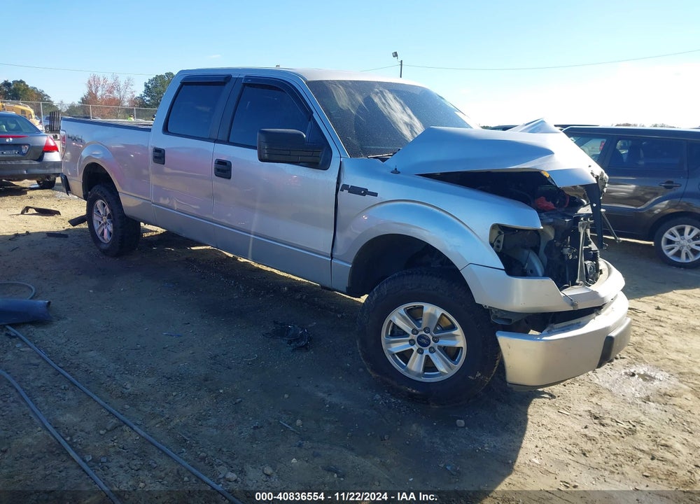 2010 FORD F-150 XL/XLT VIN: 1FTFW1E84AFB81261