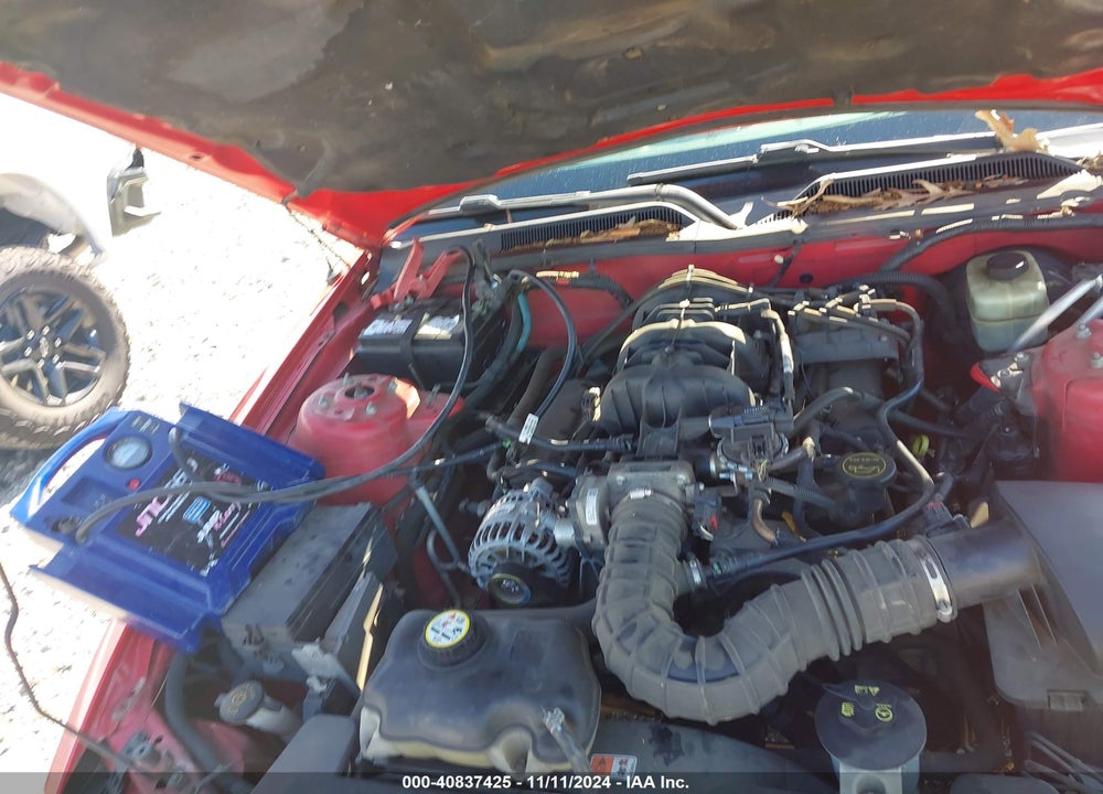 2006 FORD MUSTANG V6 VIN: 1ZVHT80N165162166