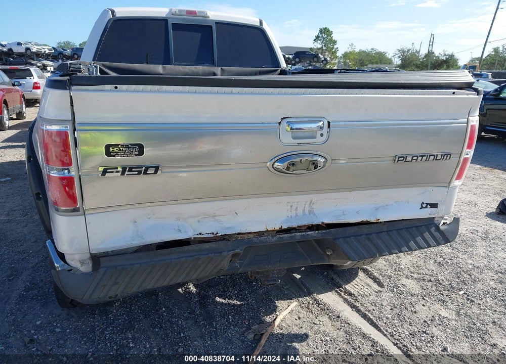 2010 FORD F-150 FX4/HARLEY-DAVIDSON/KING RANCH/LARIAT/PLATINUM/XL/XLT VIN: 1FTFW1EV4AFB07666