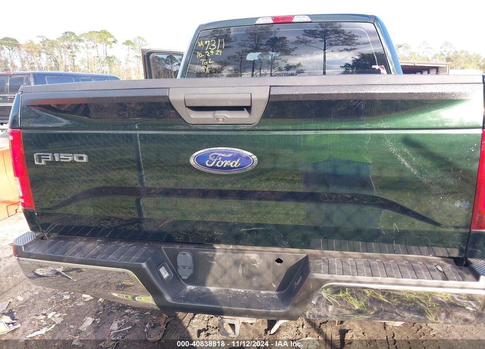 2015 FORD F-150 XL VIN: 1FTEW1EG1FKF14033