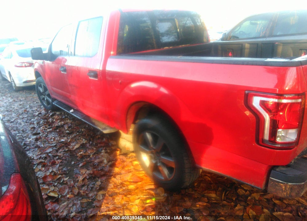 2015 FORD F-150 XLT VIN: 1FTEW1C82FKD03466