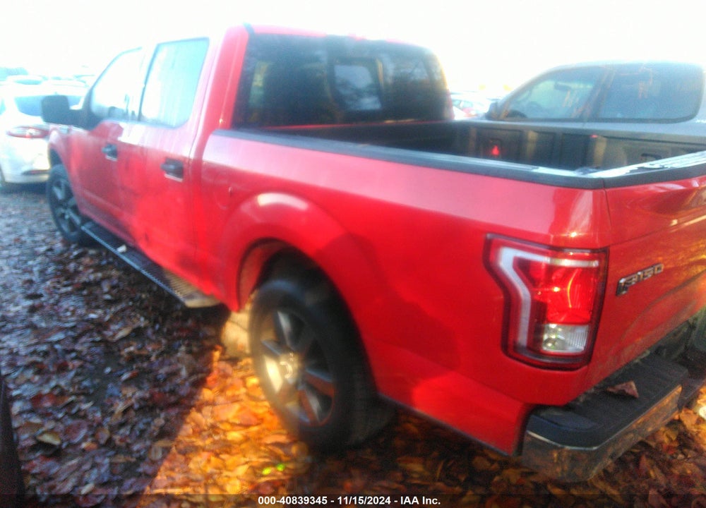 2015 FORD F-150 XLT VIN: 1FTEW1C82FKD03466