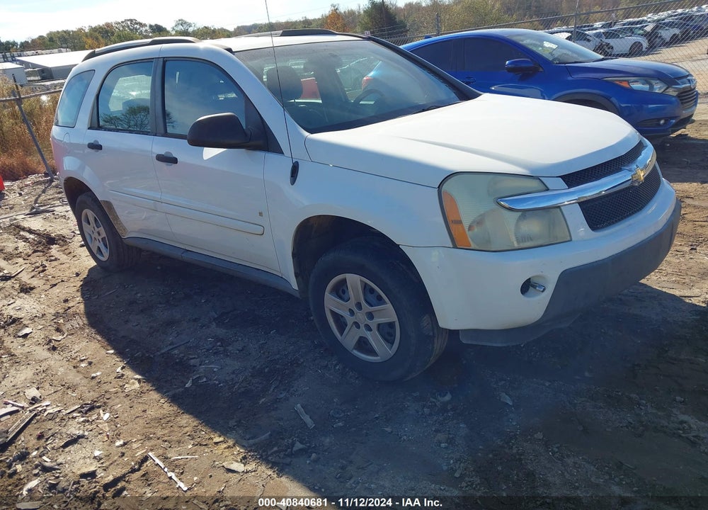 2006 CHEVROLET EQUINOX LS VIN: 2CNDL13F166197254