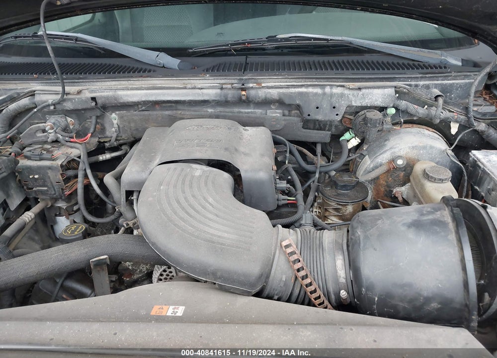 2002 FORD F-150 LARIAT/XL/XLT VIN: 2FTRX18W52CA58943