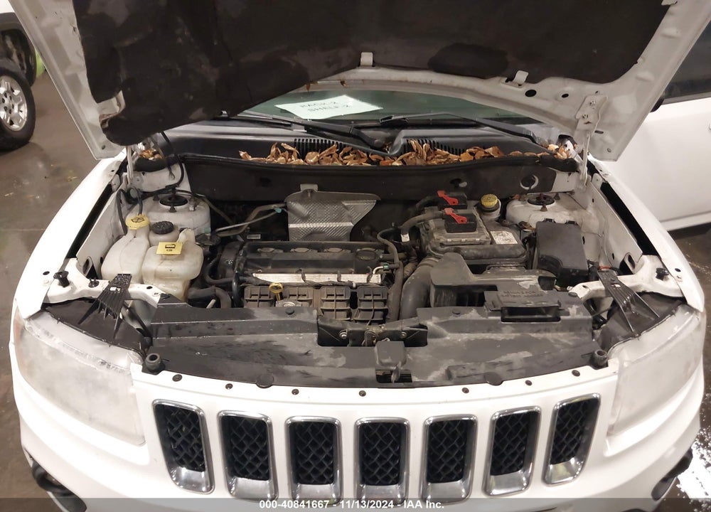 2011 JEEP COMPASS VIN: 1J4NT1FA8BD138443