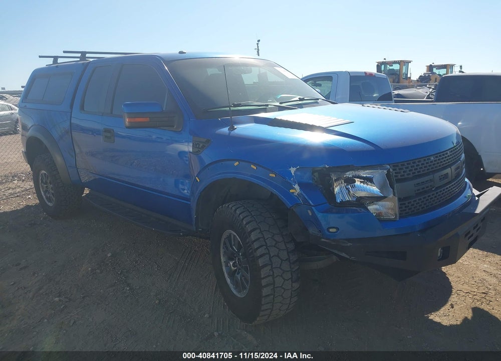 2010 FORD F-150 SVT RAPTOR VIN: 1FTEX1E61AFD94191