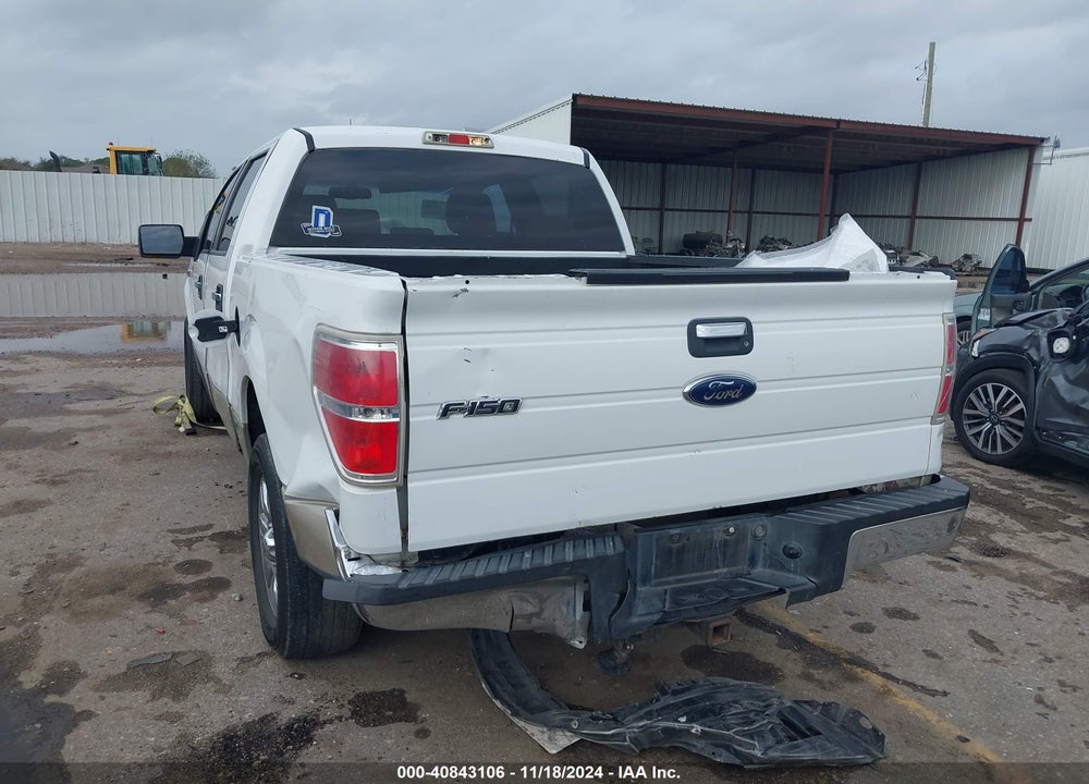2009 FORD F-150 XL/XLT VIN: 1FTRW12859FA51163