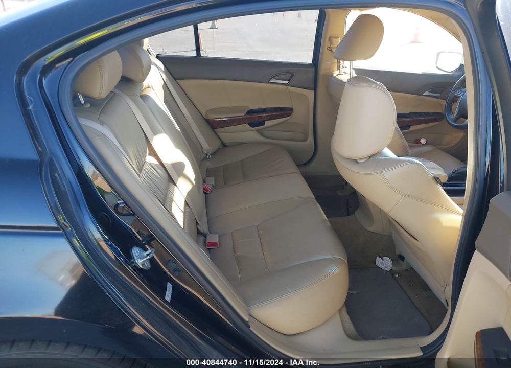 2010 HONDA ACCORD VIN: 1HGCP3F87AA009833