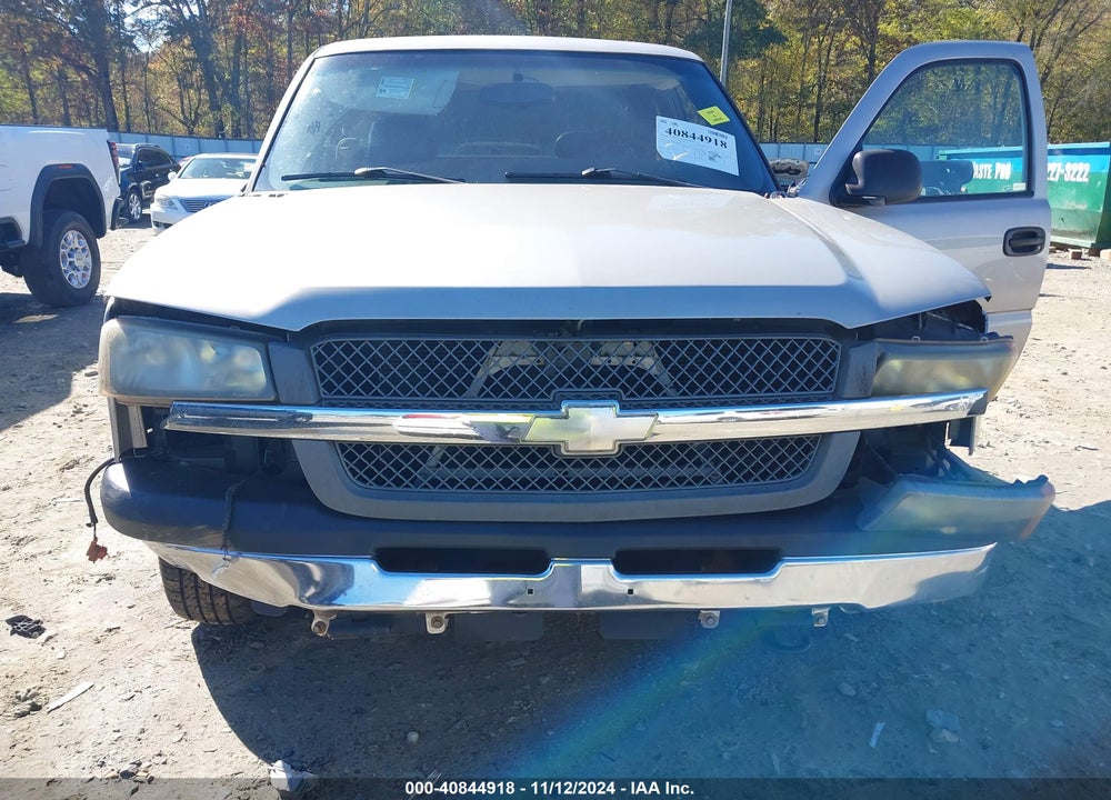 2004 CHEVROLET SILVERADO 1500 WORK TRUCK VIN: 1GCEC19X04Z348305