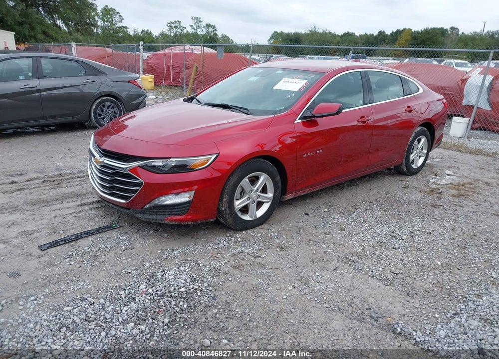 2024 CHEVROLET MALIBU FWD 1LT VIN: 1G1ZD5ST0RF115314