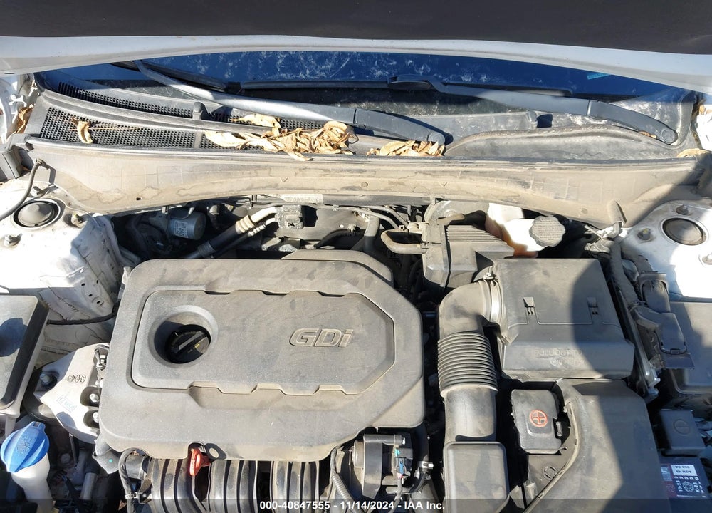 2019 KIA OPTIMA VIN: 5XXGT4L35KG364385
