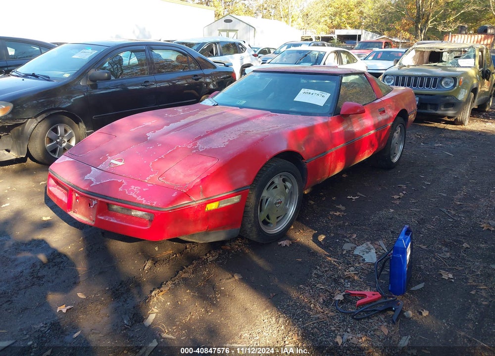 1989 CHEVROLET CORVETTE VIN: 1G1YY2181K5109187