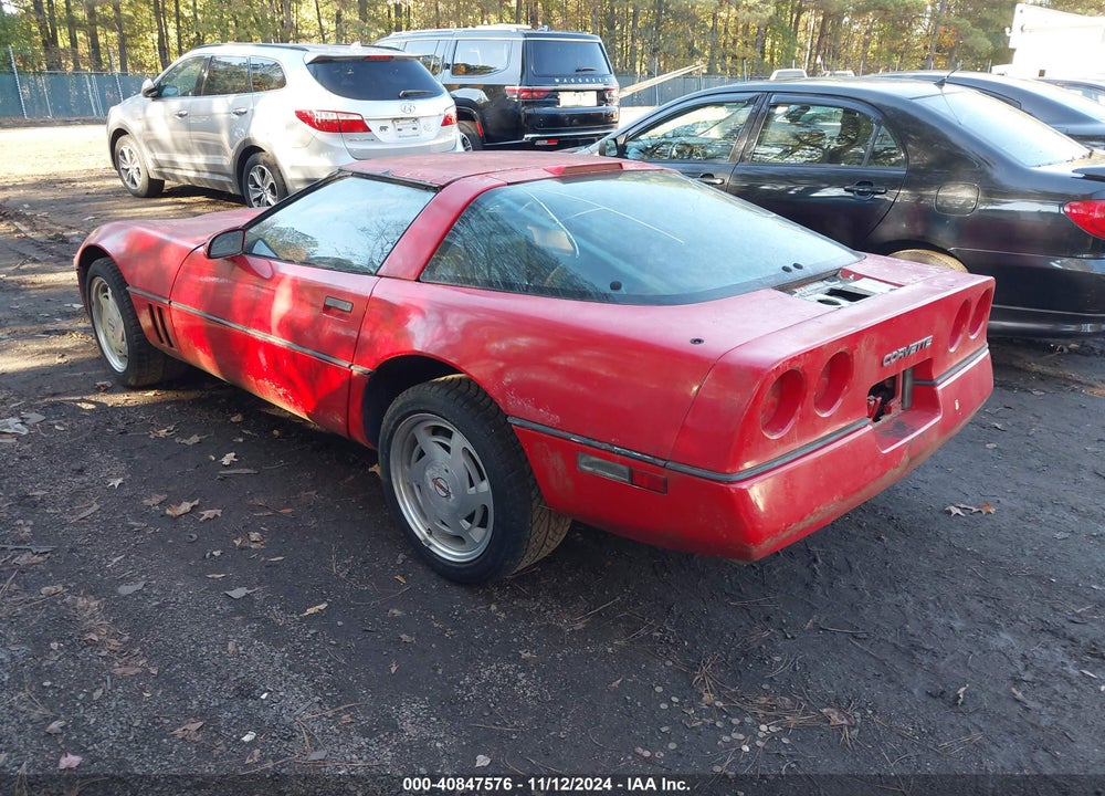 1989 CHEVROLET CORVETTE VIN: 1G1YY2181K5109187