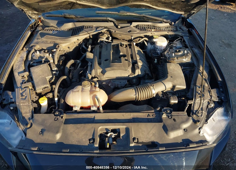 2019 FORD MUSTANG VIN: 1FA6P8TH2K5173455