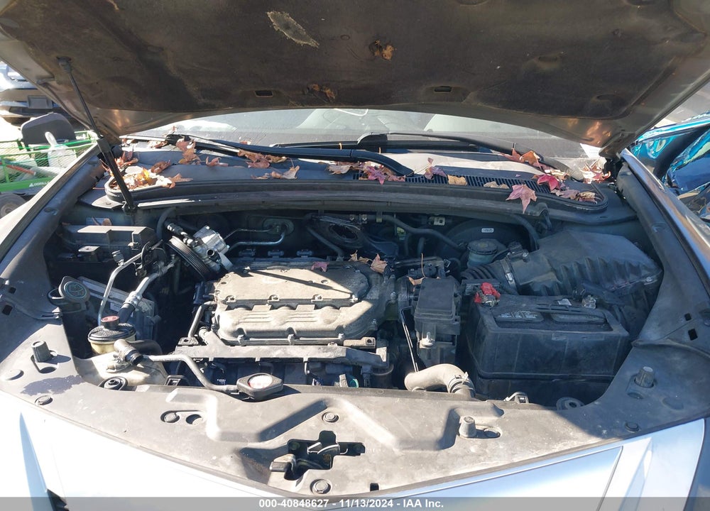 2010 ACURA ZDX VIN: 2HNYB1H47AH502733