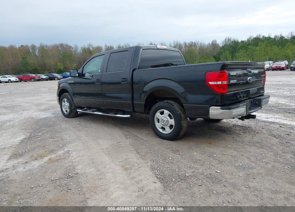2013 FORD F-150 XLT VIN: 1FTFW1CF9DFB91645