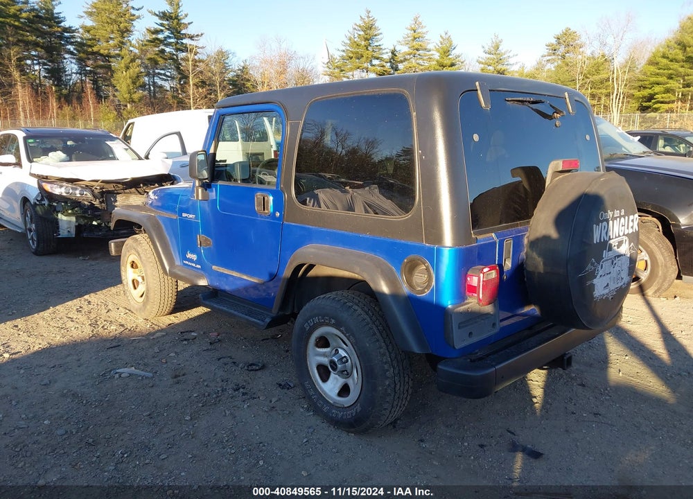 2003 JEEP WRANGLER SPORT VIN: 1J4FA49S83P320756
