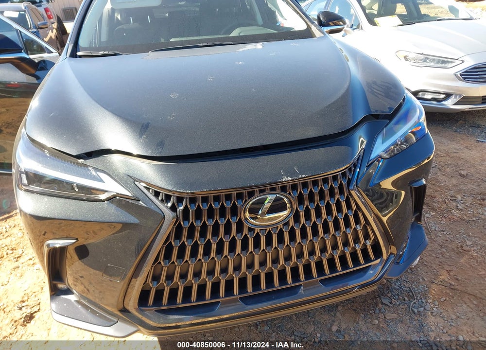 2022 LEXUS NX 250 VIN: 2T2ADCAZ4NC002558