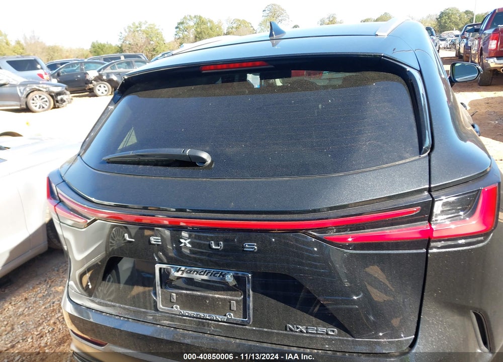 2022 LEXUS NX 250 VIN: 2T2ADCAZ4NC002558