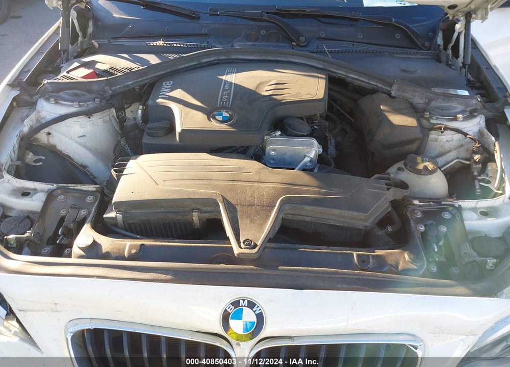2015 BMW 228I VIN: WBA1F5C53FV257279