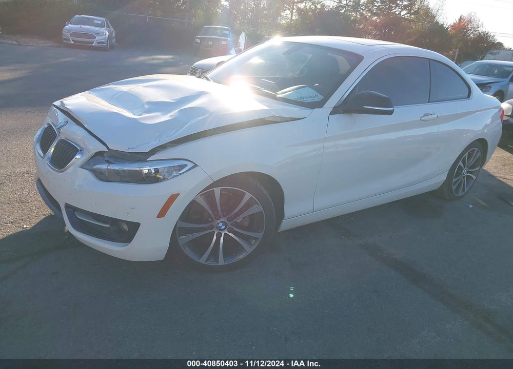 2015 BMW 228I VIN: WBA1F5C53FV257279