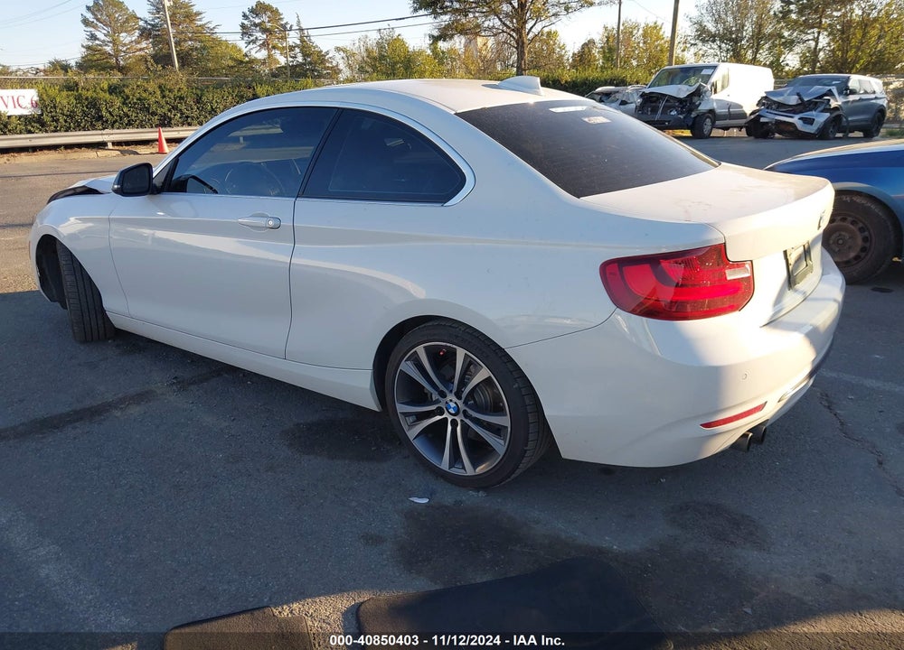 2015 BMW 228I VIN: WBA1F5C53FV257279