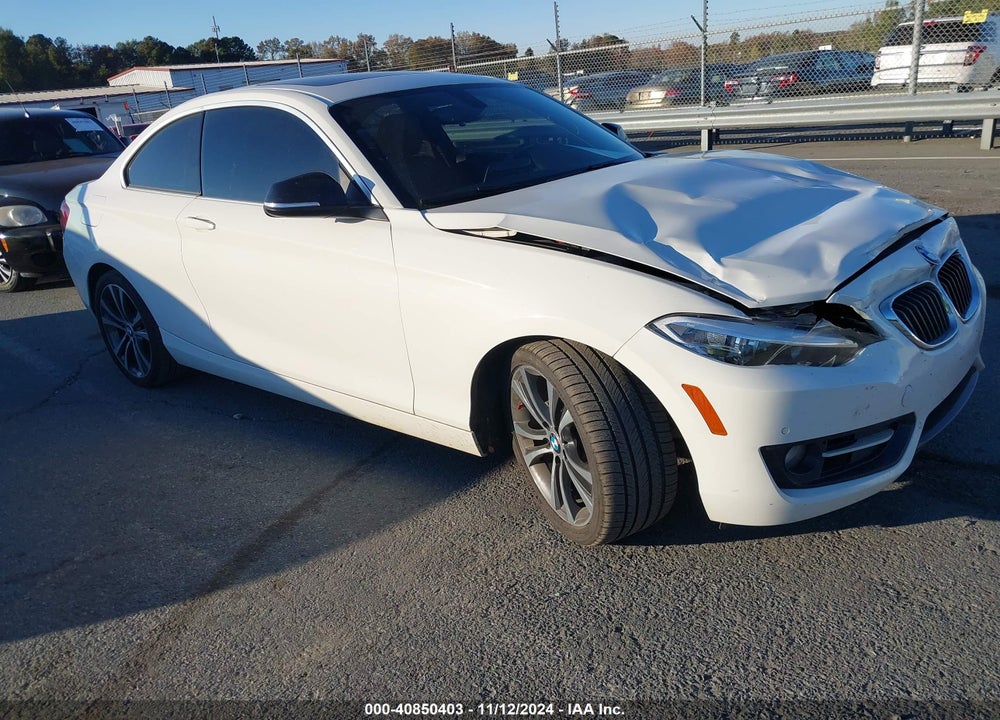 2015 BMW 228I VIN: WBA1F5C53FV257279