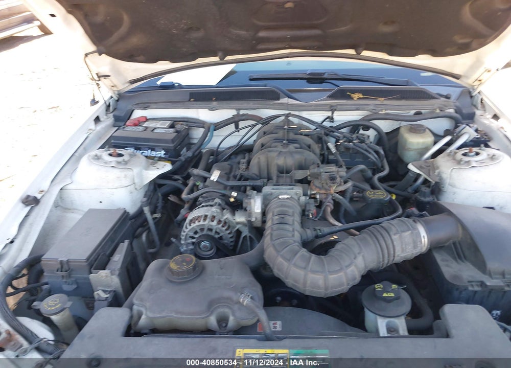 2006 FORD MUSTANG VIN: 1ZVHT80N465245834